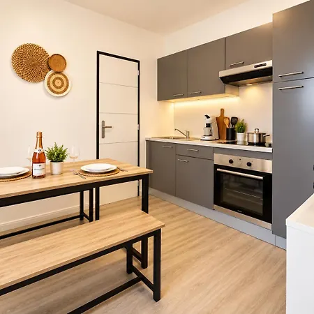 Evasion Jacuzzi Et Billard Appartement Mulhouse